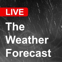 The Weather Forecast App на пк