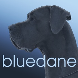 BlueDane Mobile