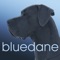 The BlueDane application delivers a mobile experience for users, access to tools provided to their organization and intended for the exclusive use of associates within organizations with a paid subscribed to BlueDane cloud hosted applications and services