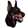 Get My Doberman Pinscher for iOS, iPhone, iPad Aso Report