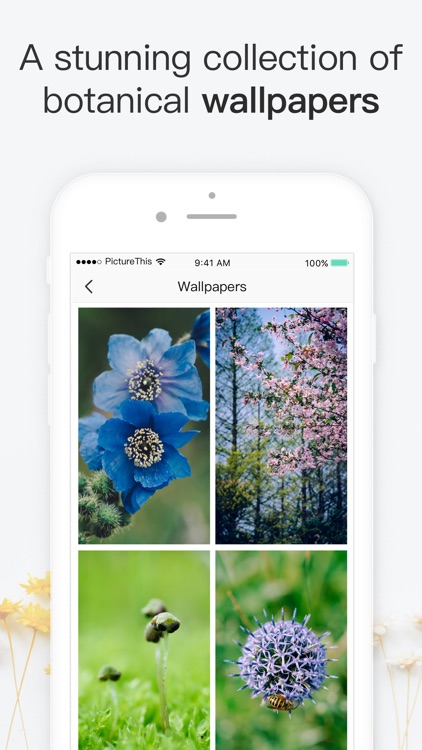 PictureThis - Plant identifier screenshot-5