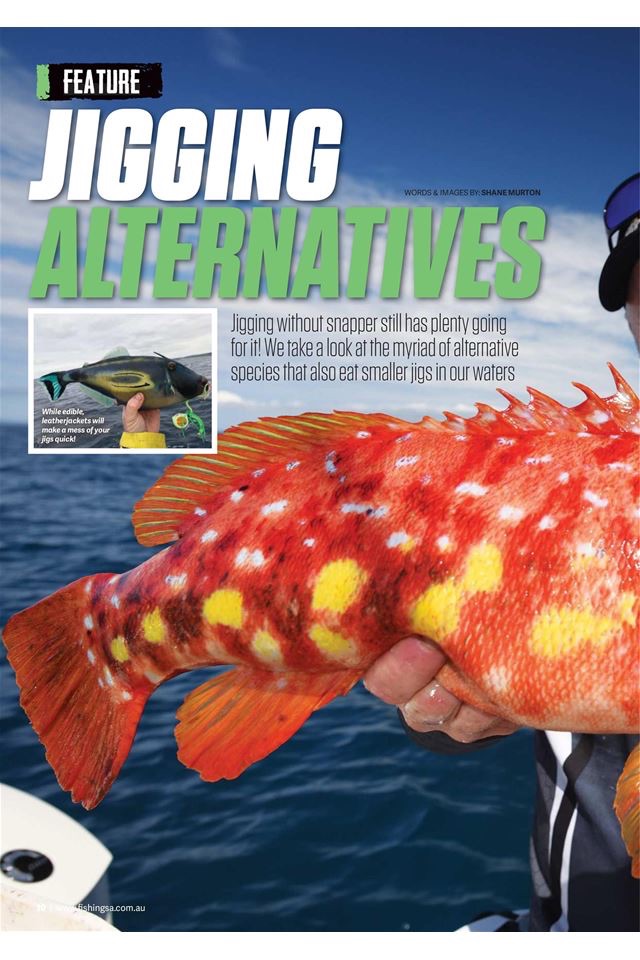 Fishing SA magazine screenshot 2