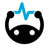 Brainscape на пк