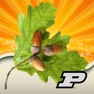 Get Purdue Tree Doctor for iOS, iPhone, iPad Aso Report