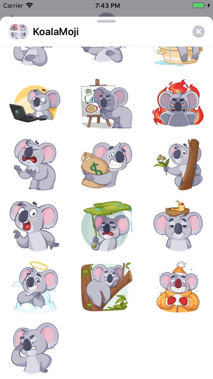 KoalaMoji - Koala Stickers