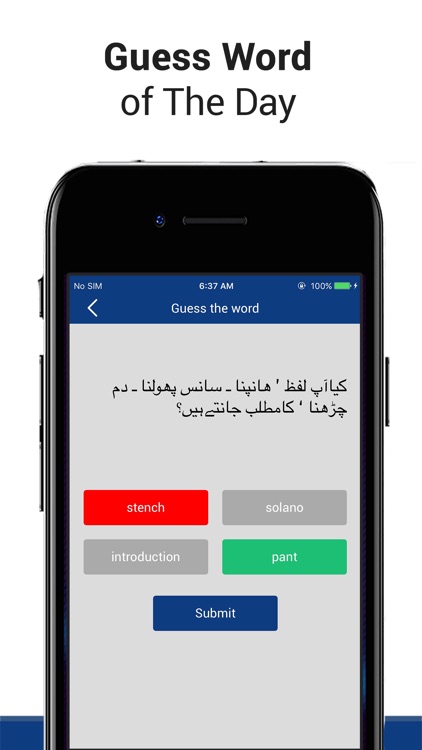 English Urdu -Dictionary screenshot-4