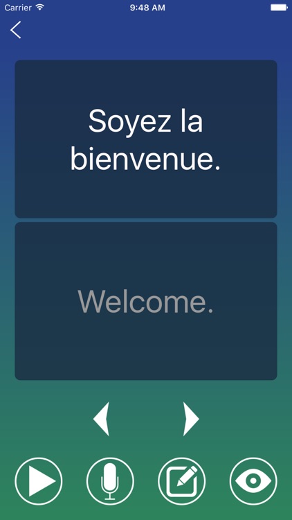 French Phrase Book Learn screenshot-3