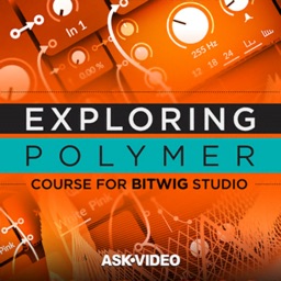 Explore Course for Polymer