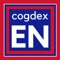 Cogdex is for professionals who have already studied English, but want to become really fluent in the language, understand everything they hear, and speak with confidence