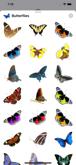 Butterflies. The stickers(圖2)-速報App