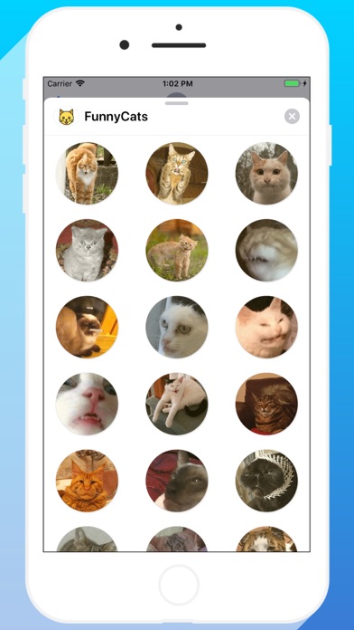 Talkitty - Cats Stickers screenshot 2