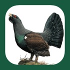 Top 29 Reference Apps Like Eastern Europe Birds - Best Alternatives