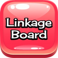 Activities of Linkage Board