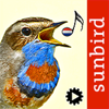 Vogelzang Id Nederland - Mullen & Pohland GbR