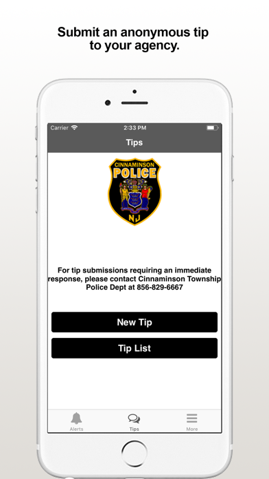 Cinnaminson PD screenshot 2