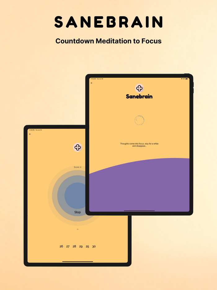 Sanebrain Pro - Strong Mindset