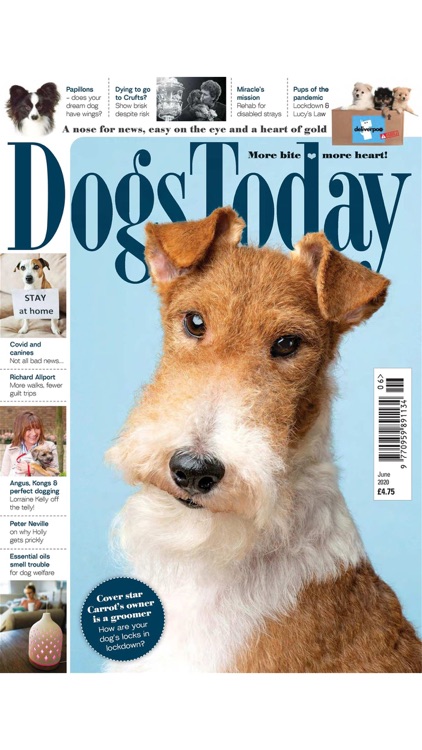 Dogs Today Magazine screenshot-4