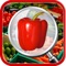 Icon Cooking Chief Hidden Objects