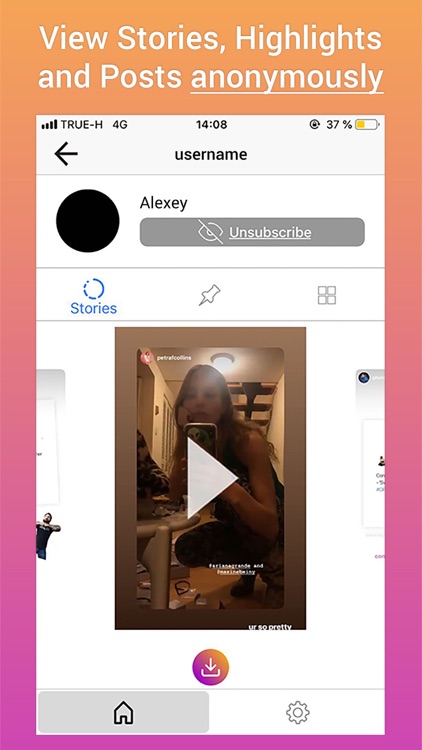 Gramster for Instagram stories
