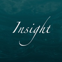 Daily Insight Cards