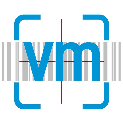 VM Slab Scan