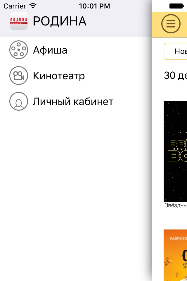 Кинотеатр Родина - Пятигорск screenshot 2