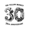 CRAYON Inc. - THE YELLOW MONKEY 結成30周年アプリ アートワーク