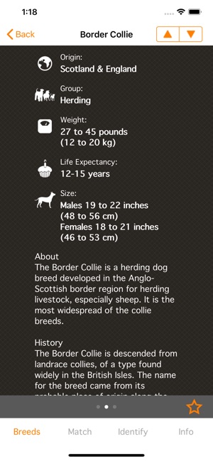 Perfect Dog X - All The Breeds(圖4)-速報App