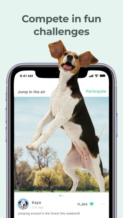 Dog Training & Clicker by Dogo screenshot-4