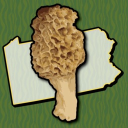 Pennsylvania Mushroom Forager
