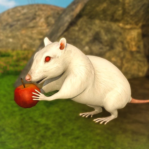 Rat Simulator Games 2020 iOS App