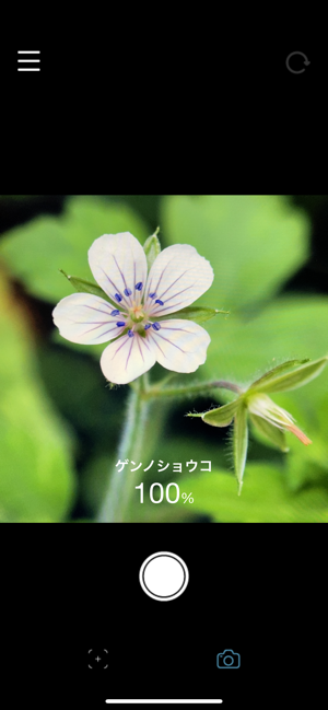 Iphone 花や植物の名前が調べられる検索アプリ7選 Appbank