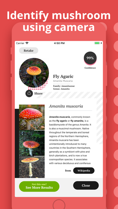 Mushroom Identification screenshot 2