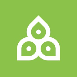 Rinpoche Buddhist