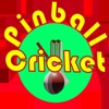 PinBall Cricket