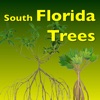 Southern Florida Trees Southern Florida Trees