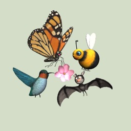 Pollinators AR