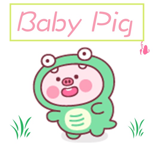 BabyPig+