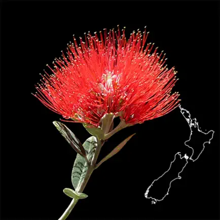 NZ Myrtaceae Key Читы