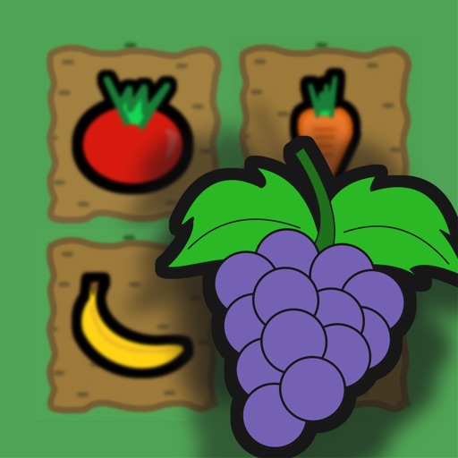 Square Farm iOS App