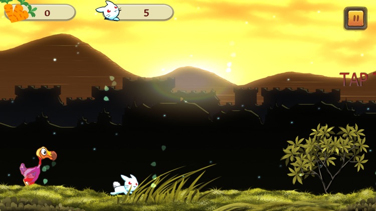 Super Bunny Adventure Run