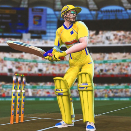 Play Cricket Games 2019