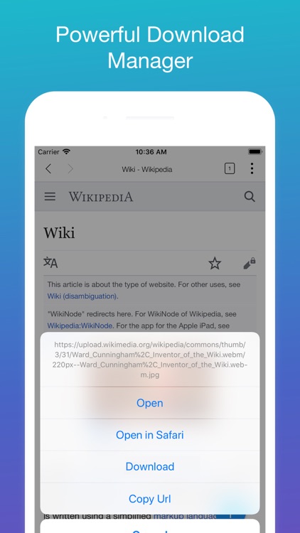 Dala Browser: snap & documents screenshot-3