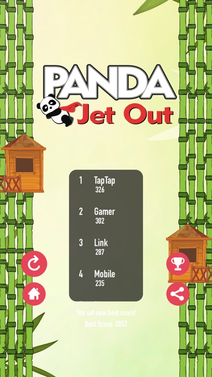 Panda Jet Out screenshot-5