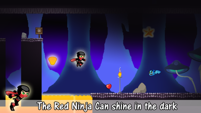 The Mini Ninja screenshot 3