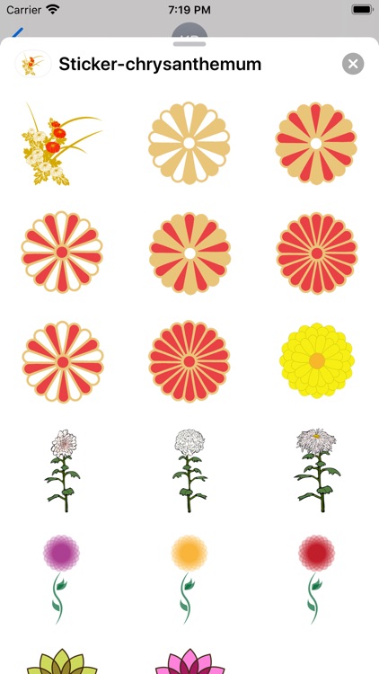 Sticker chrysanthemum