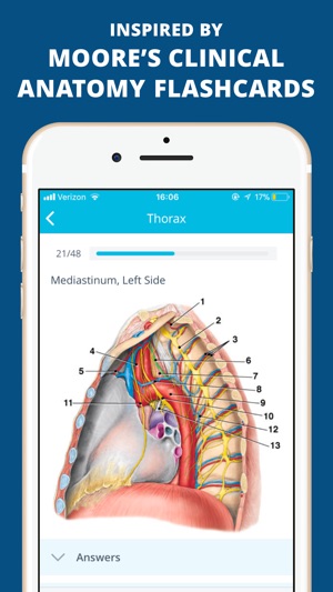 USMLE Clinical Anatomy Quiz(圖5)-速報App