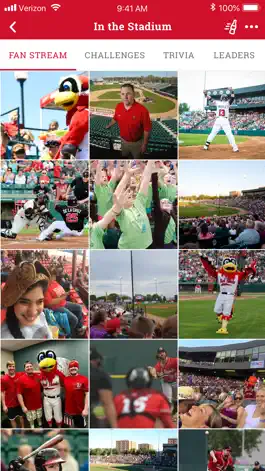 Game screenshot RedHawks Baseball apk