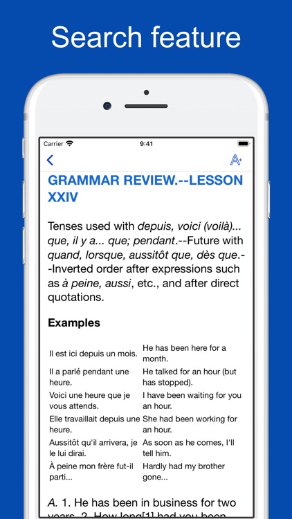 French Grammar and Vocabulary screenshot-6