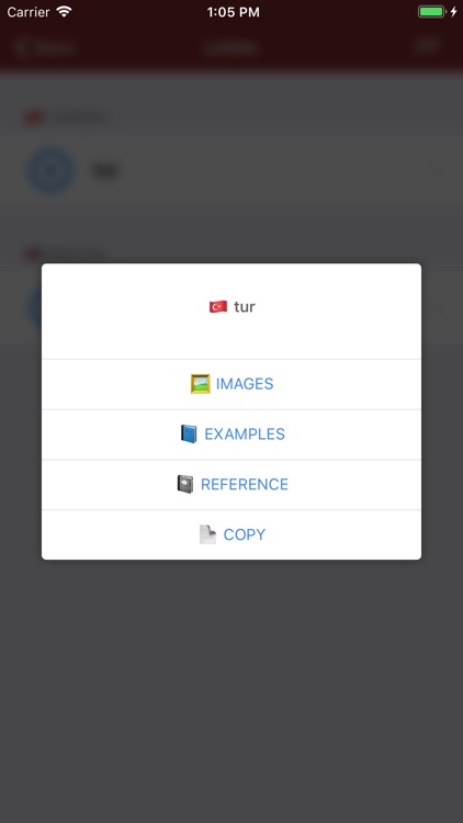 Turkish Dictionary - offline screenshot-3